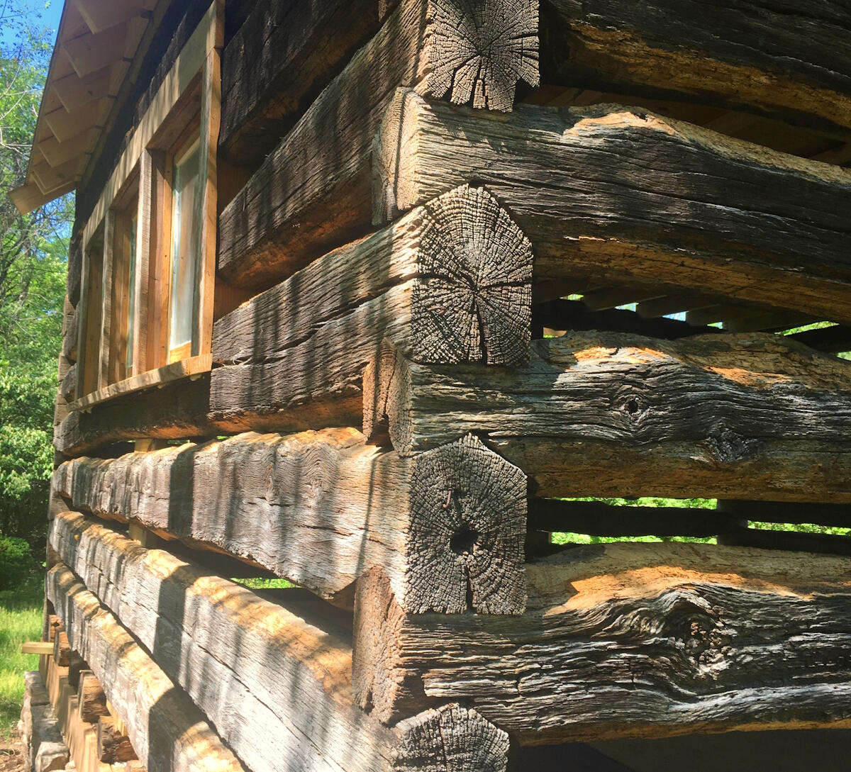 Jimmy's cabin after removing the old mortar