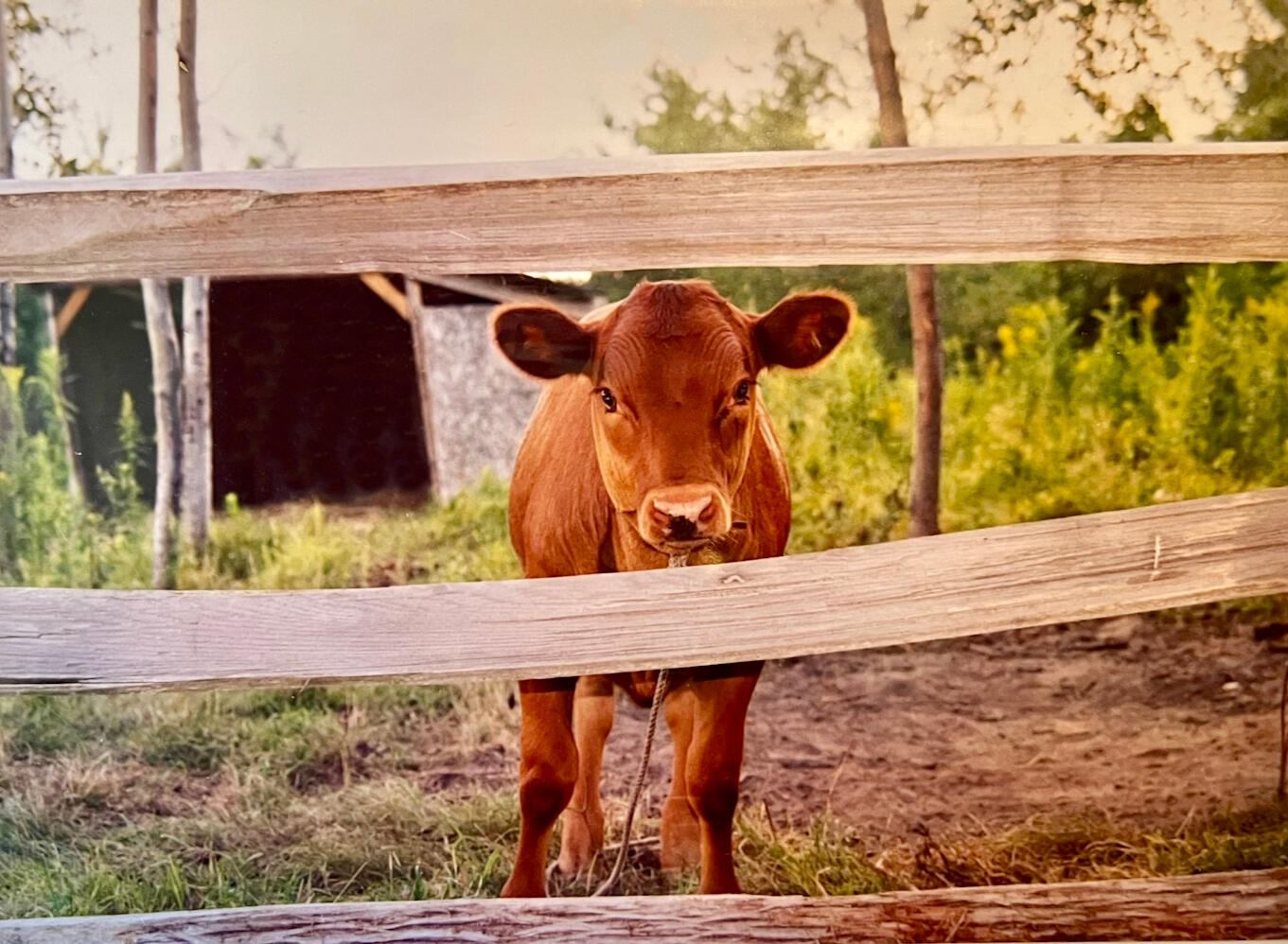 See the tour on youtube.com