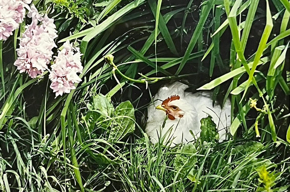 See the tour on youtube.com